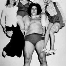 Andre the giant.large